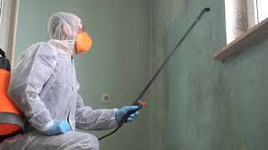  Gateway, FL Mold Removal & Remediation Pros